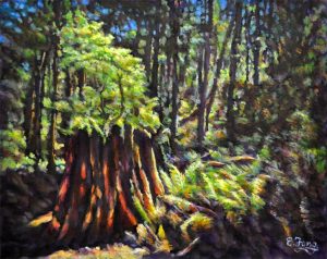 Eileen Fong: Beyond the Old Tree Stump