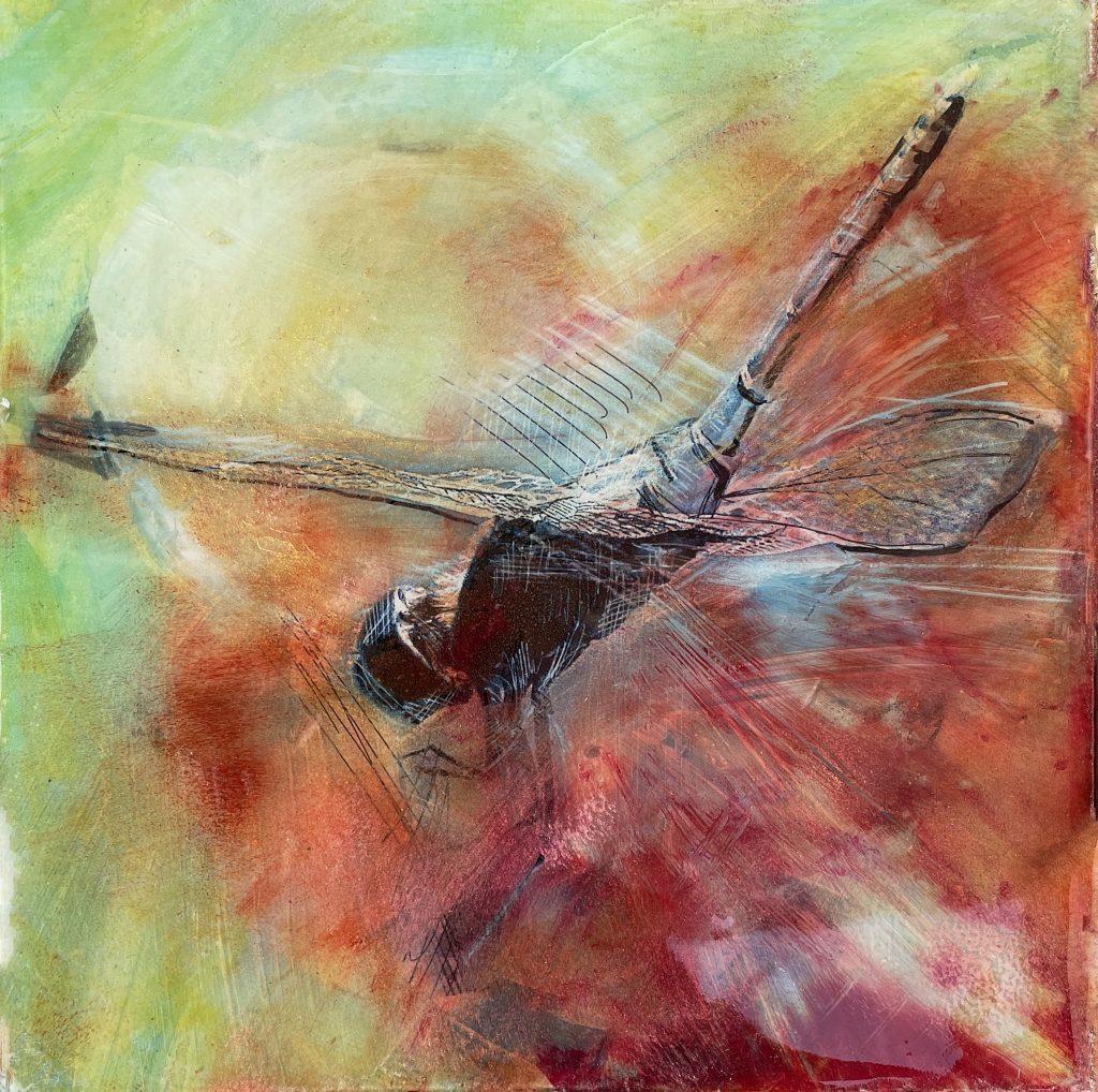 Dragonfly Delta