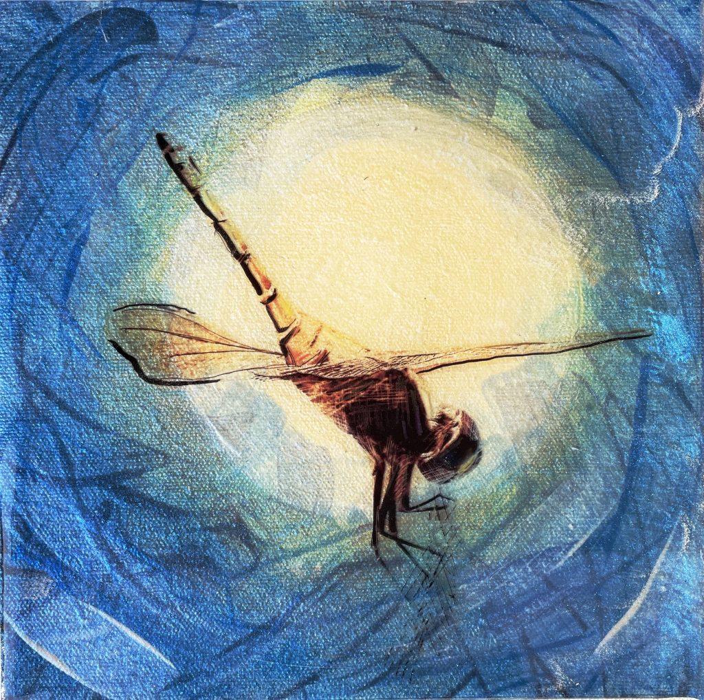 Dragonfly Foxtrot