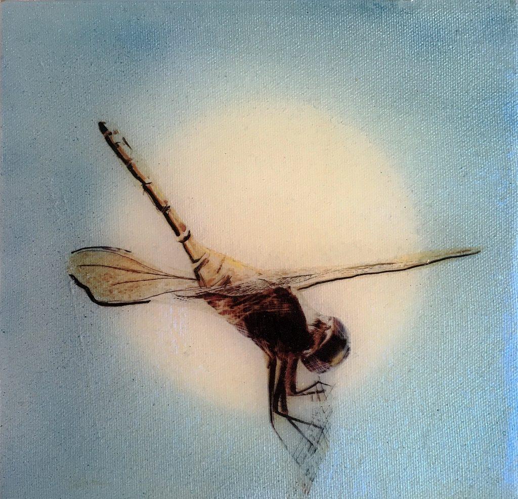 Dragonfly Lima