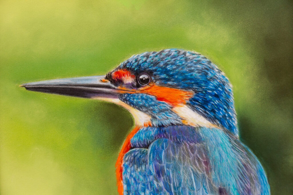 Semiahmoo Arts - Exhibit - Catherine Sheppard